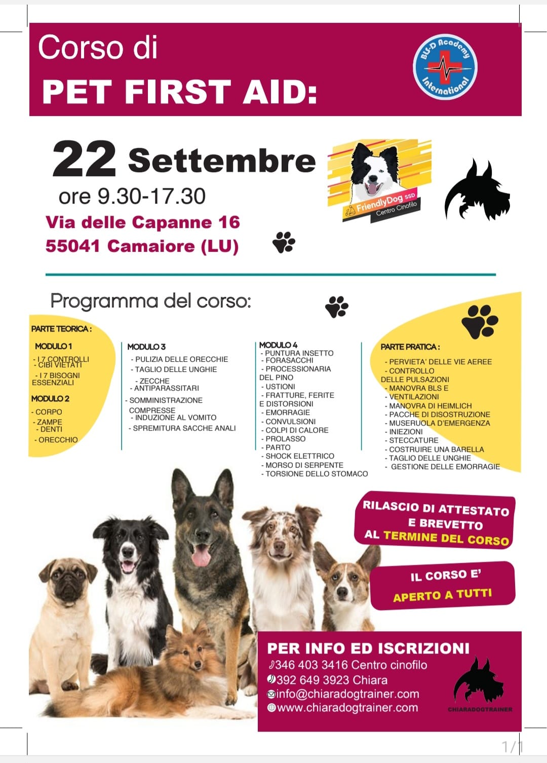 Chiara Dog Trainer Milano